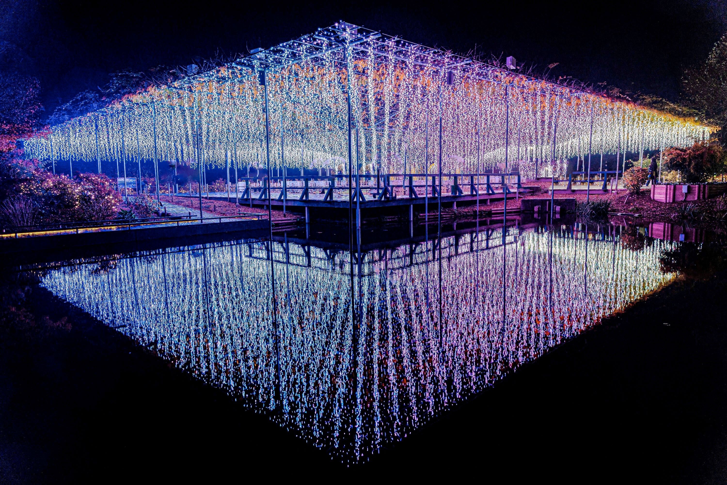 あしかがフラワーパーク2019イルミネーションイベント『Flower Fantasy～光の花の庭2019～』開催中。日本三大イルミネーションチケットはローソンチケットで販売中ローチケ ローソンチケット