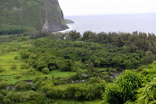 レンタカーでマウナケア山頂へは要注意！ ＠2024 ハワイ島