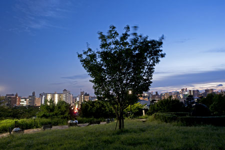 超級冰冰Show 龍飛鳳舞爭霸賽 藍如潔挑戰 腦筋急轉彎！全部都答對！有點東西喔！EP48