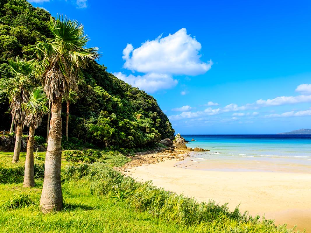 海水浴場若狭高浜観光協会公式ホームページ