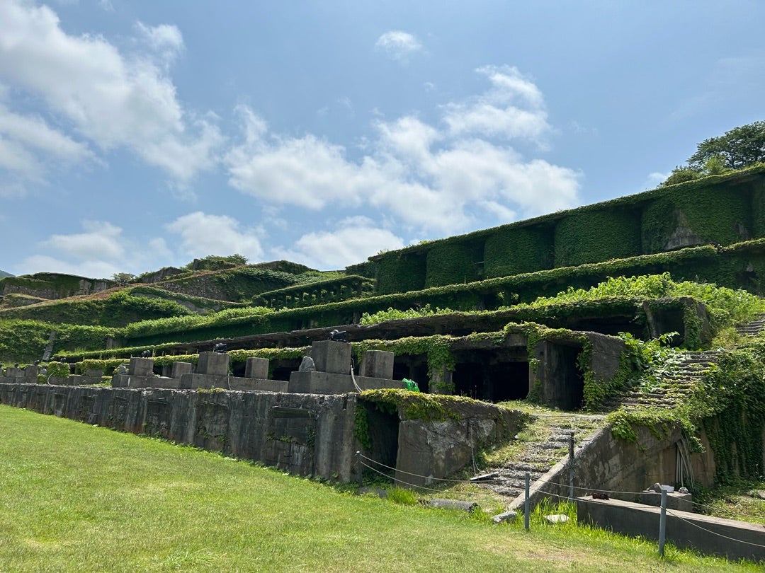 佐渡のラピュタ」危ぶまれる損傷 草木に埋まる姿、保存の展望は