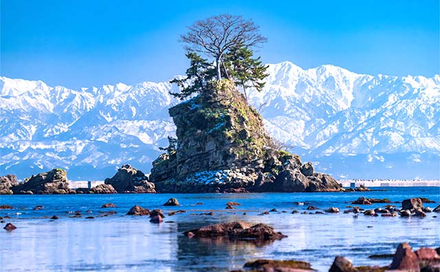 冬の東北観光におすすめのイベント9選！雪まつり・イルミネーションなど＜2024-2025＞ じゃらんニュース