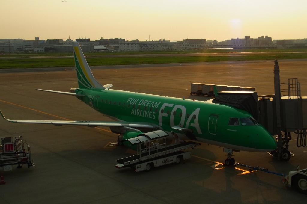 昼間の青空の下を飛ぶ白と緑の飛行機の写真 – Unsplashの動物の無料画像