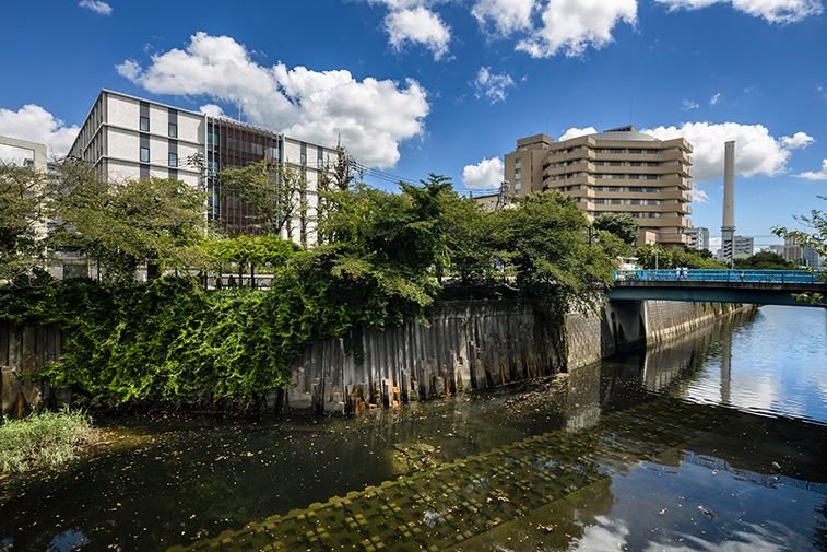 中目黒駅からのアクセス目黒青葉台矯正歯科クリニック