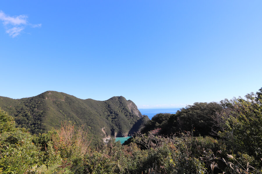 南阿波サンラインを往くみかんやさんのブログ