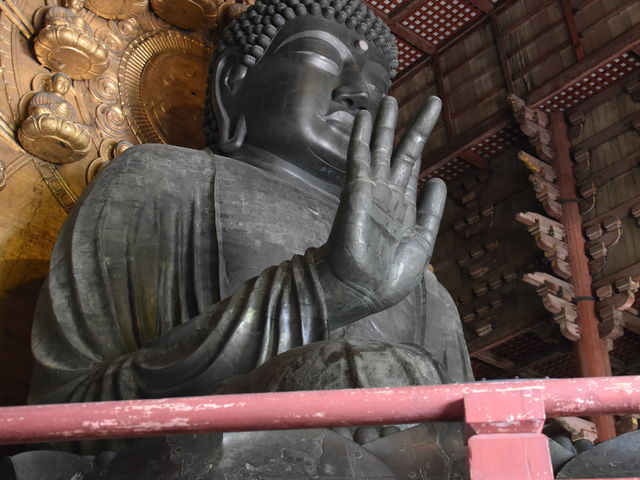 2024年奈良の大仏殿 拝観無料 燈花会期間中の夜間特別拝観周辺駐車場おたんこナースのマイル旅