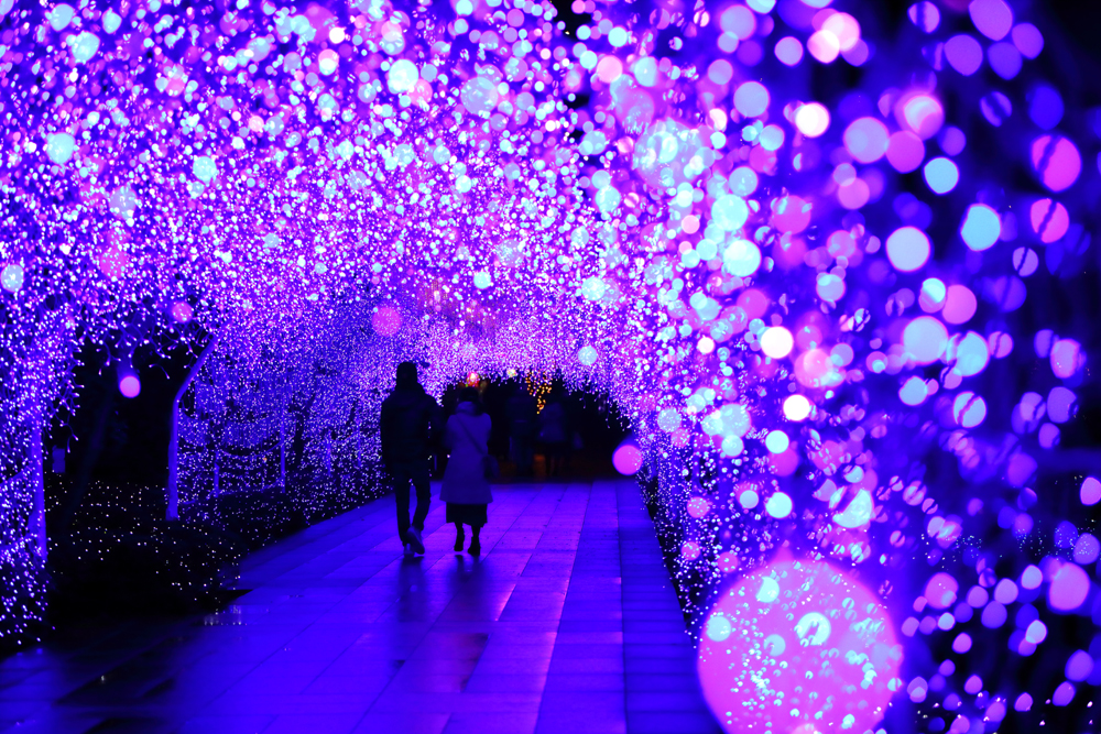 江ノ島⛩ この時期の江ノ島のライトアップが綺麗すぎた 8月いっぱいまでなので行けてよかった‪ ·͜· 江ノ島江ノ島灯篭enoshima江ノ島神社江ノ島シーキャンドル御岩屋道通り江ノ島岩屋‬