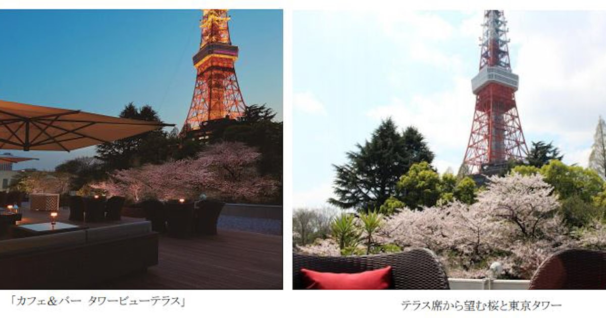 2025年最新 カフェにおすすめの東京タワーが見えるレストランのランチ 雰囲気＆居心地のいいお店ランキング - OZmallレストラン予約