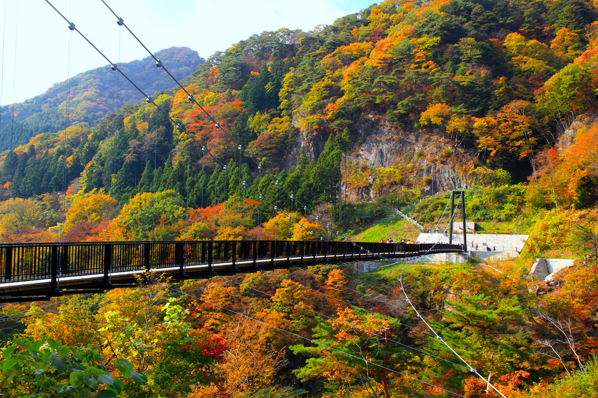 クマの散歩道Vol.126クマが鬼怒川に架かる橋をご案内します~その9立岩橋、鬼怒楯岩大釣り橋クマの散歩道～大好きなふるさと日光市を紹介するブログです～