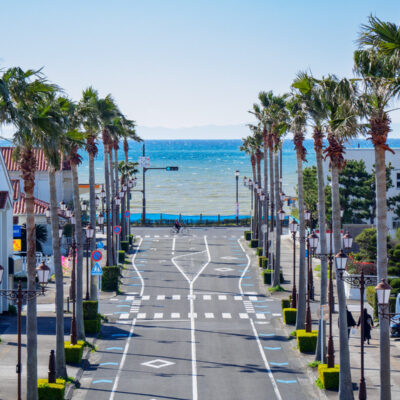 鶴見線の秘境駅探訪。猫が集う「扇町駅」や出られない「海芝浦駅」へ！ - びゅうたび