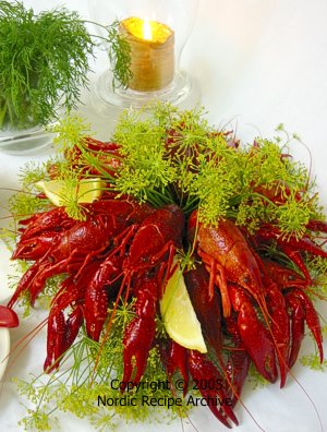 フィンランド🇫🇮の夏の宴でザリガニ🦀を食べる Rapujuhla kokko🍁