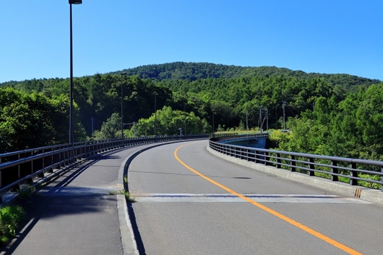 走り屋」警戒や事故防止 静岡市日本平、昼夜連続取り締まり静岡新聞DIGITAL 静岡県のニュース