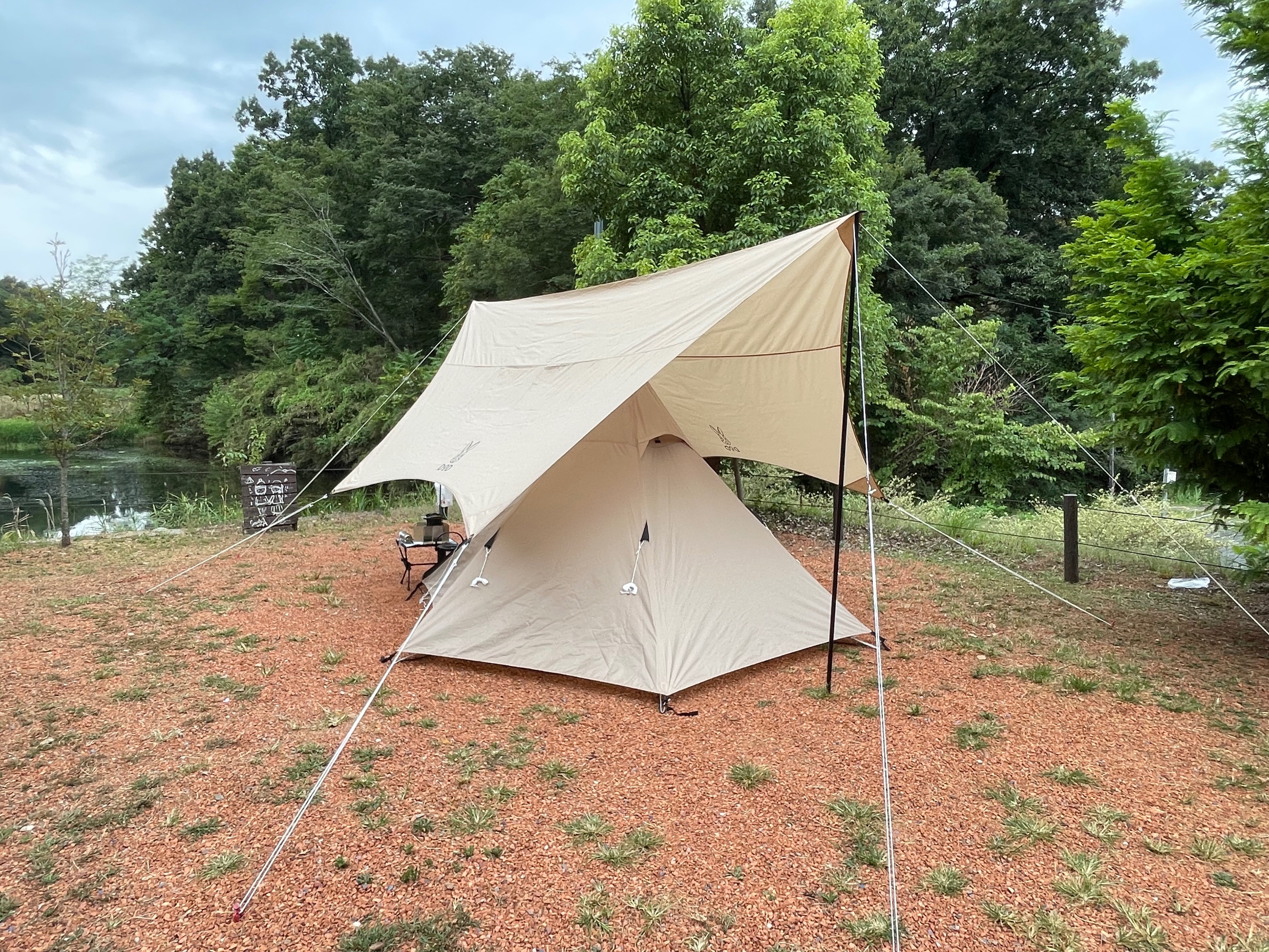 楽天市場 日本製 高品質 セッティングテープ 5.0