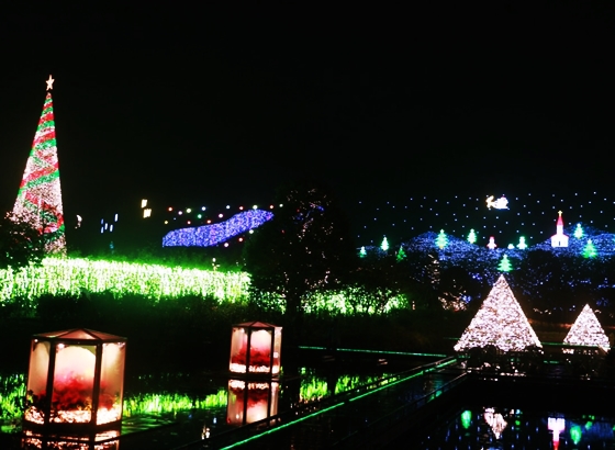 あしかがフラワーパーク「光の花の庭2024-2025」イルミネーション日程・料金・アクセス・駐車場情報