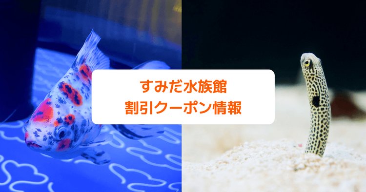 すみだ水族館」の見どころ・料金・割引・アクセス網羅いこーよニュース