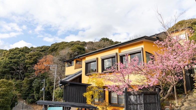 本場の河津桜を見たい！河津周辺で温泉も楽しめるおすすめ温泉宿 - Tripa トリパ