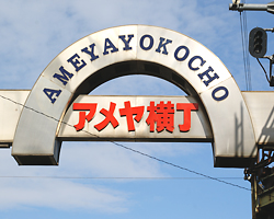アメ横商店街 東京の観光公式サイトGO TOKYO