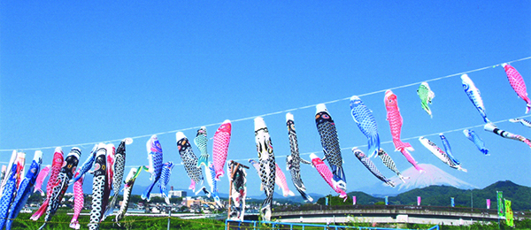 平塚市 第17回鈴川鯉のぼりまつり開催 特別展示も同時開催5 3～5