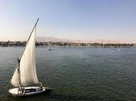 世界一速いヨットの帆日経サイエンス