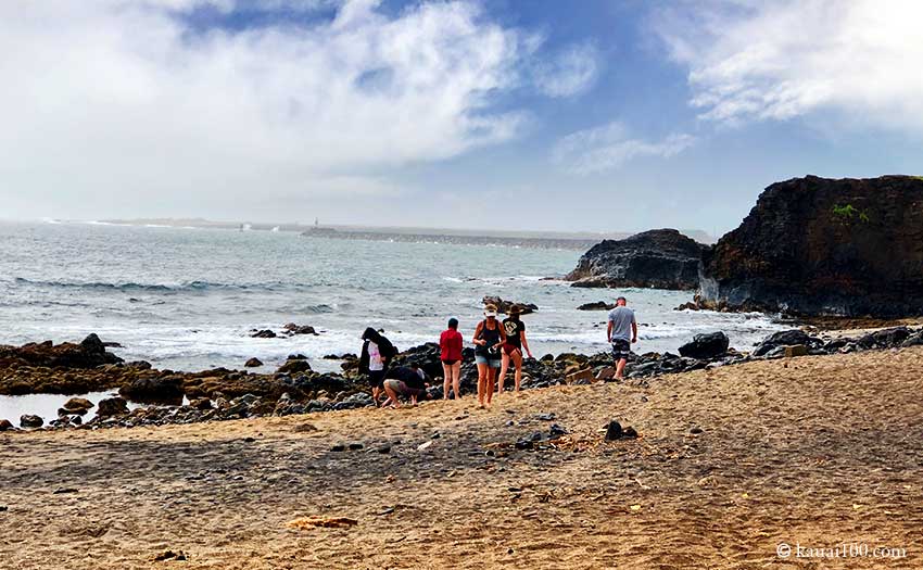 グラス ビーチ カリフォルニア アメリカ