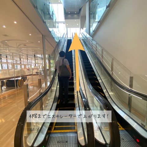 チェリストのエスカレーターの乗り方 How to