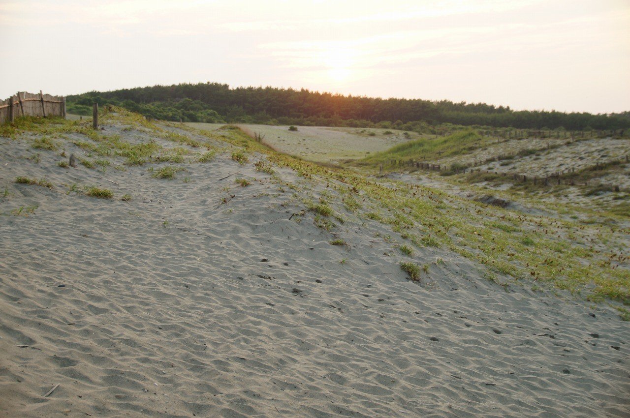 吹上浜砂の祭典：くまモンも登場 南さつまで開幕毎日新聞