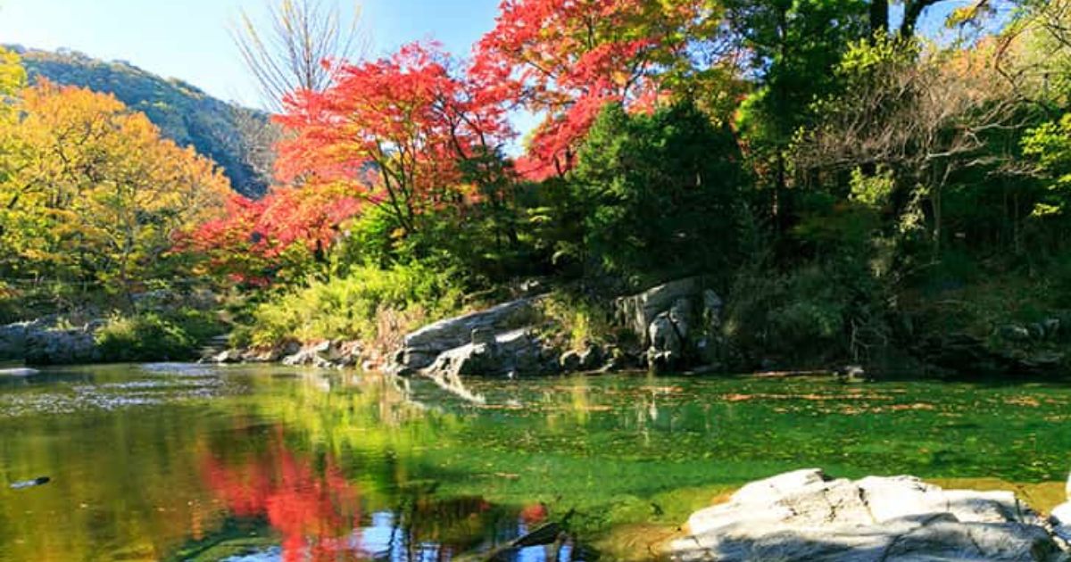 嵐山渓谷紅葉まつり』をアウトドアの人気スポット、 嵐山渓谷バーベキュー場で11月23日・24日に開催NEWSCAST