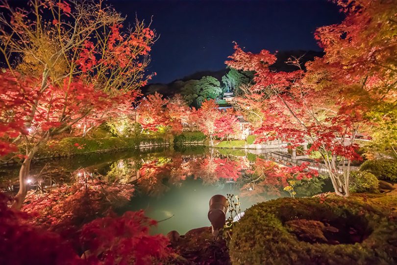 高台寺3施設、永観堂禅林寺の招待券の通販 by ドラ家ラクマ