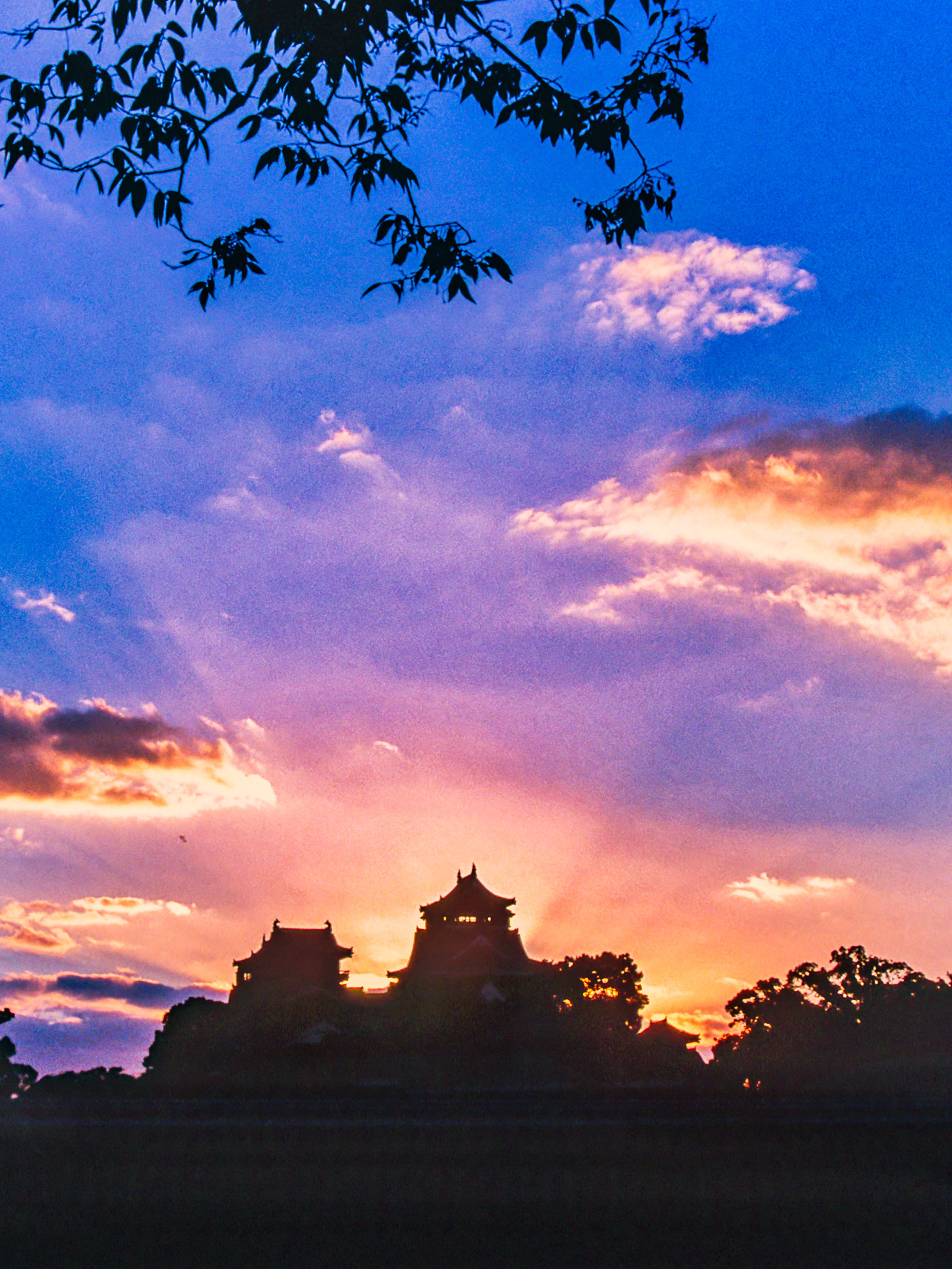 全日本お城写真コンテスト2025締切:2025 6 20 主催:全日本写真連盟関西本部