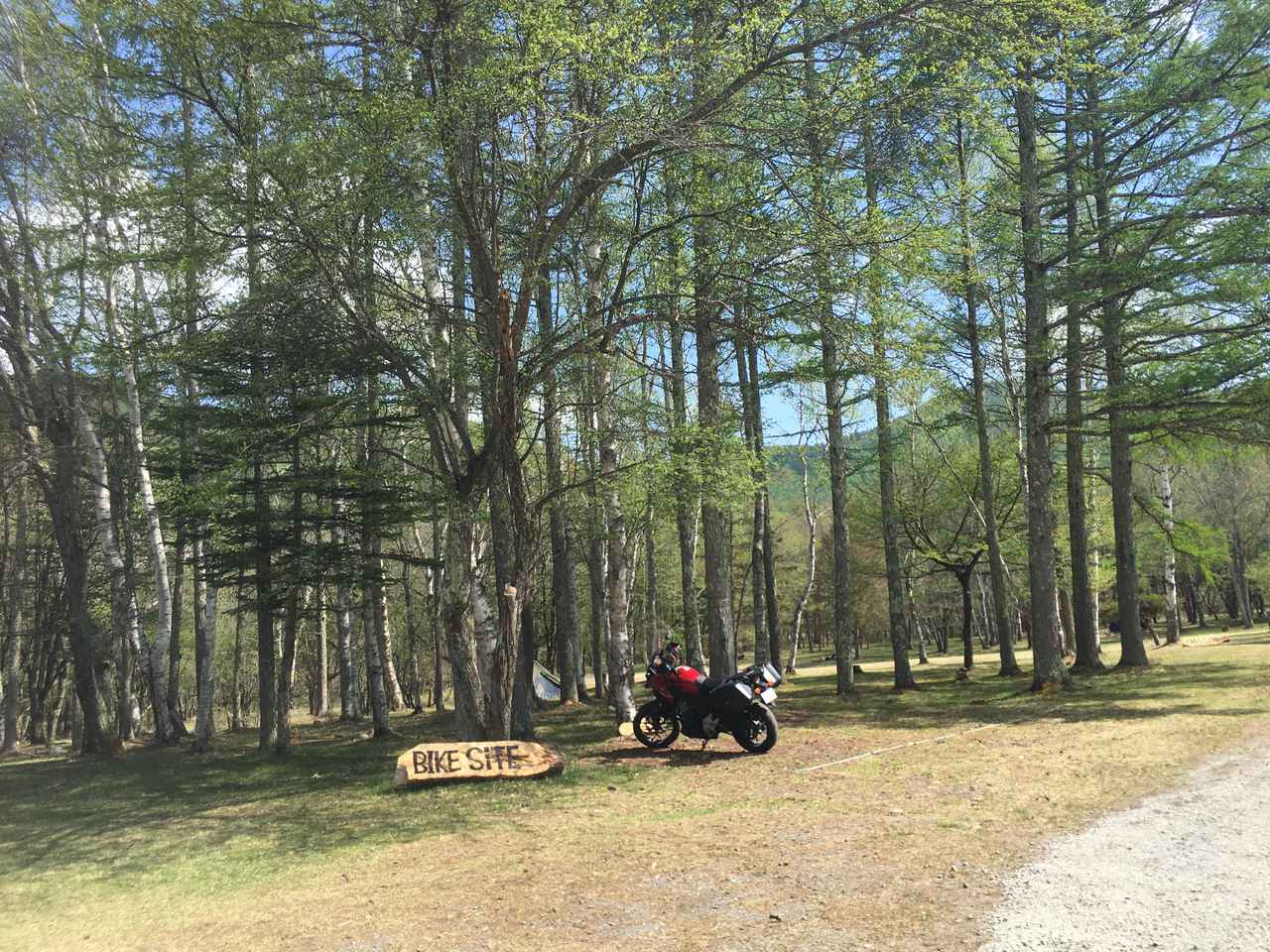 夏におすすめの涼しいキャンプ場情報2025 年のリアルなLemon8ユーザー体験