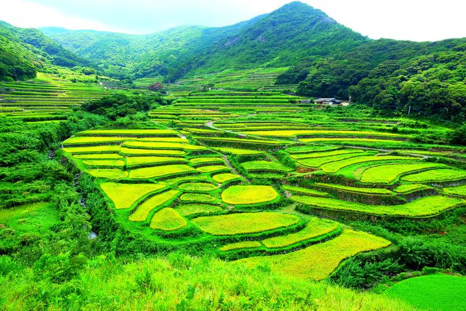 九州絶景に行こう