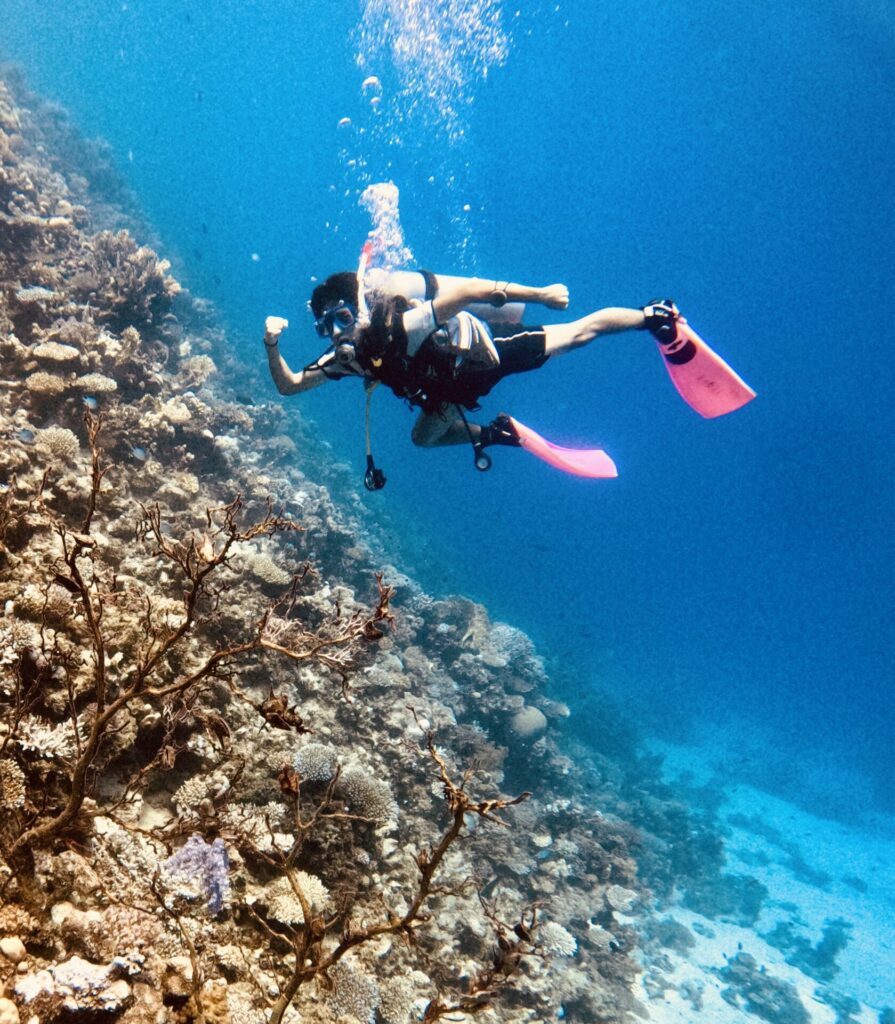 エジプト 2015.07 – The used