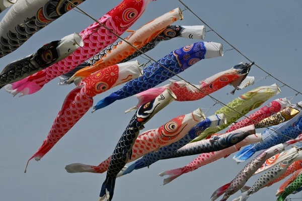 鈴川に泳ぐ鯉のぼり ５月４・５日にまつり - Yahoo!