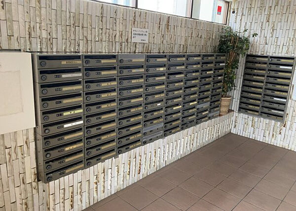 シーザースパレス 神奈川県 の来店レポート 2024月10月21日