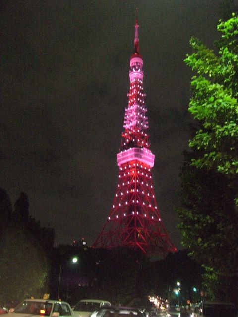 ピンクリボン in 東京とうきょう健康ステーション