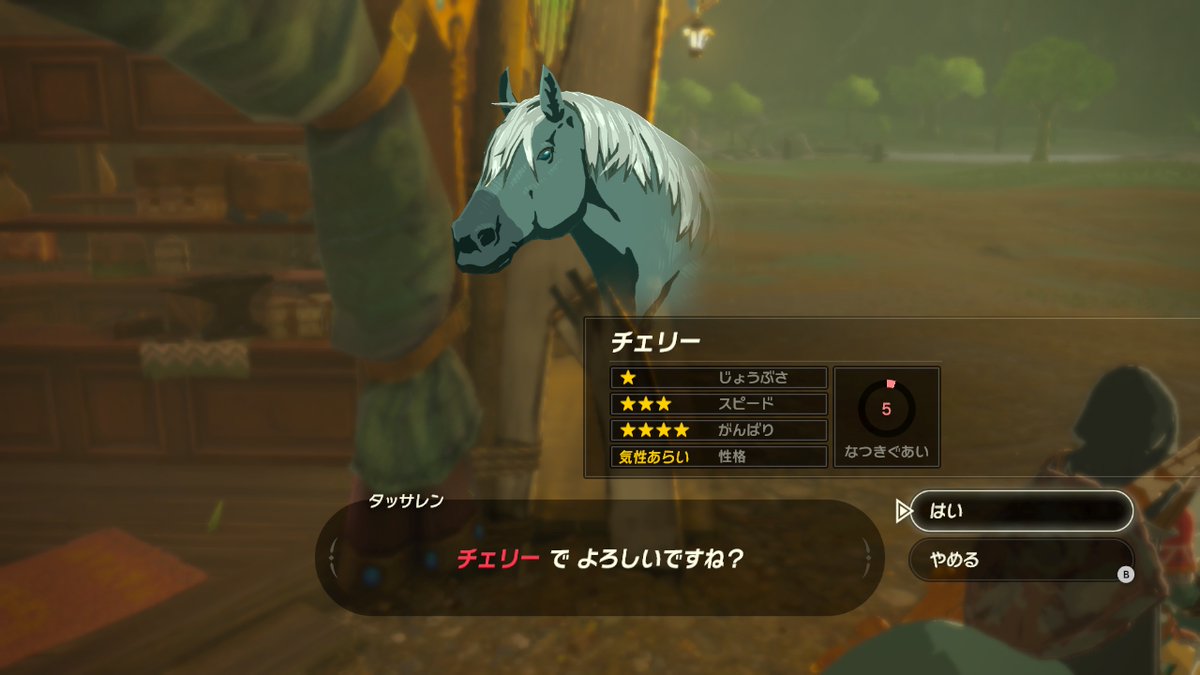 ゼルダ 馬の話螺殺眼ブログ