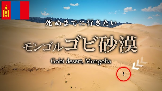 2025年版 ゴビ砂漠の絶景2大スポット！ホンゴル大砂丘＆バヤンザグ完全ガイド🐫🌄🦖モンゴル旅行・オリジナルツアー・モンゴル鉄道エムジェイツアーズ
