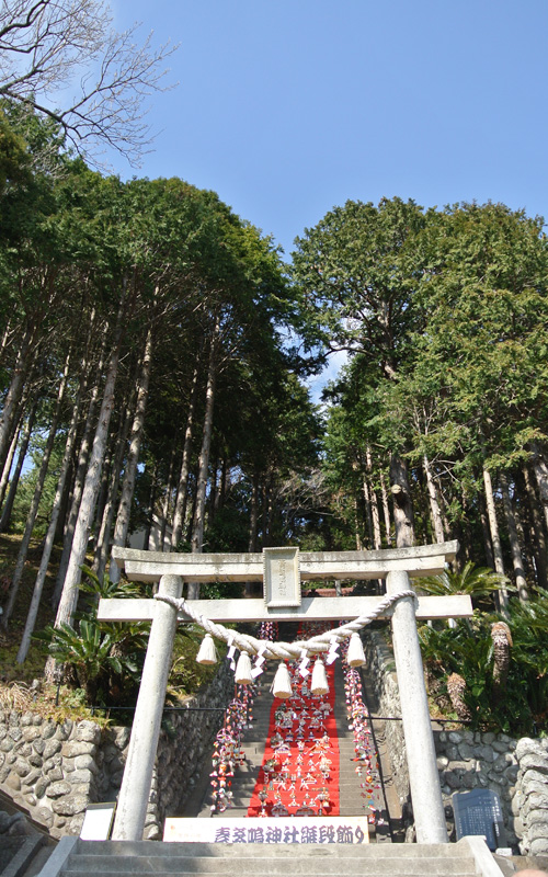 伊豆稲取を歩こう！②素戔嗚神社～八尾比丘尼公園 - ＫＩＴの気ままな旅日記