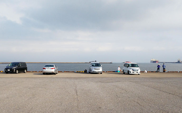 小田原漁港でブッコミ釣りカルパッチョの日々あれこれ
