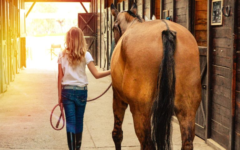 旅日記 京都競馬場へ行ってきた！ 2019