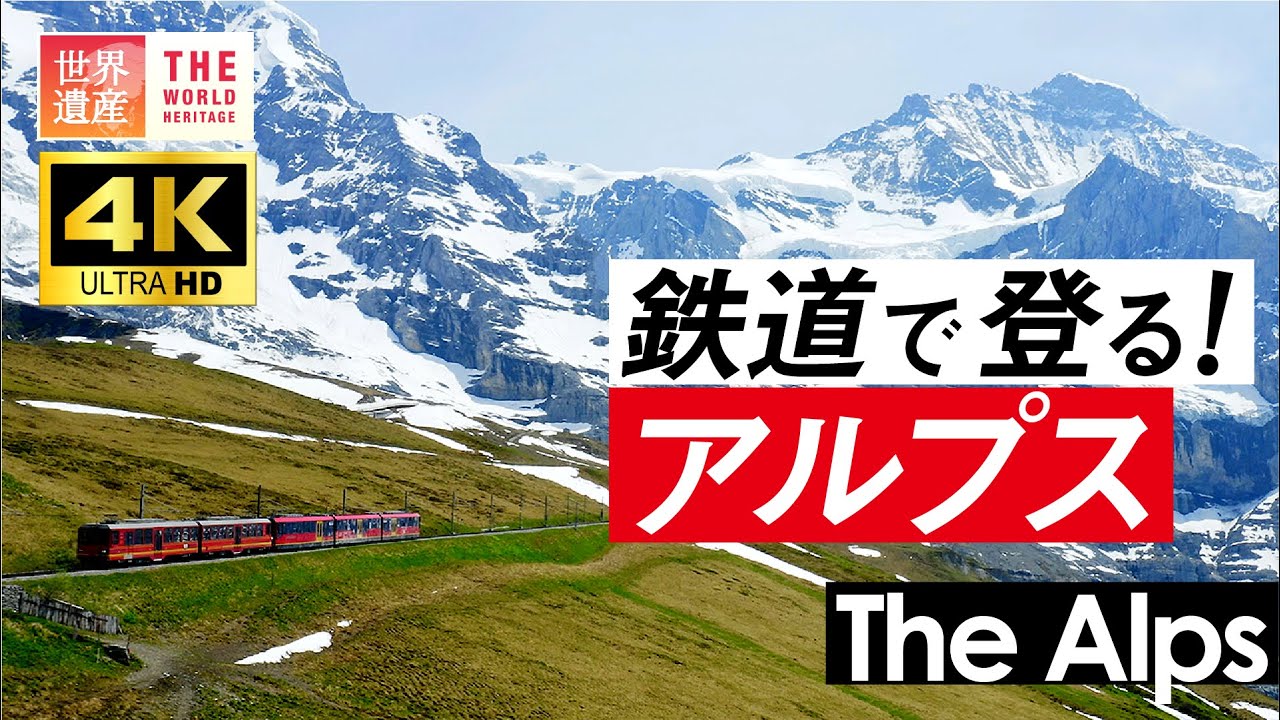スイスの世界一急勾配の登山鉄道をご紹介します！* 🚂 スイスには、傾斜度48％という世界一急勾配のラックレール 歯車