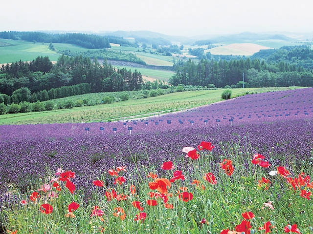 北海道で必ず寄りたい!おすすめの人気峠スポットまっぷるウェブ