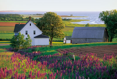 プリンスエドワード島カナダ旅行・ツアー STW