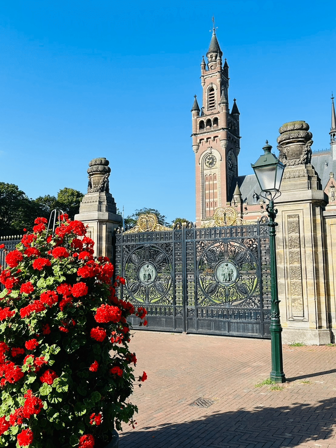 2025 デン・ハーグの1日モデルコース2パターン！観光スポットの見どころも徹底解説TARIP