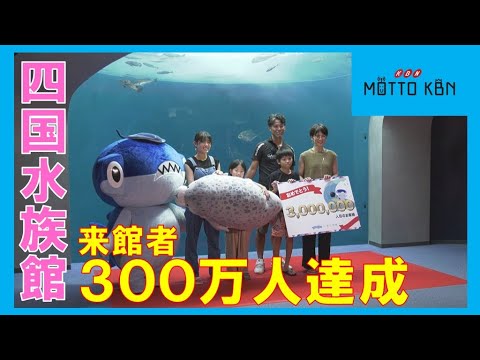 四国水族館 アトア 株主優待ご招待券 四国水族館アトア株主優待ご招待券