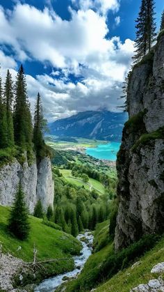 コテージコア MORI-KEI 古着