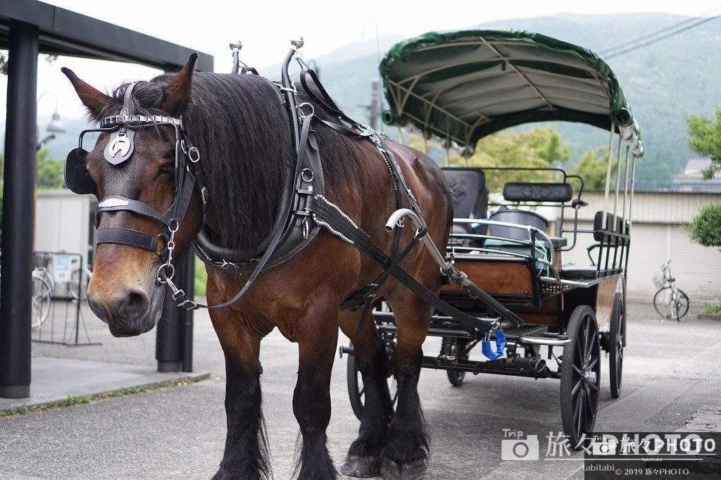 観光辻馬車 -九州大分 The Village