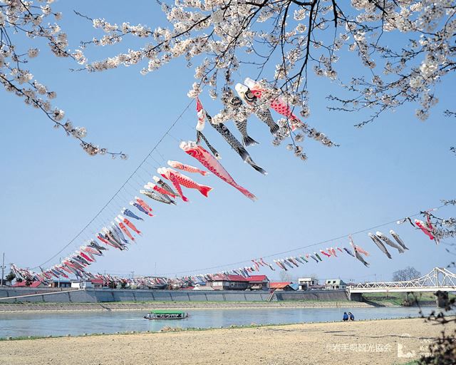 三春滝桜東北の観光スポットを探す旅東北 - 東北の観光・旅行情報サイト