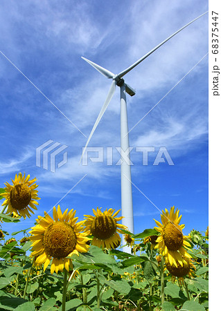 あわら夢ぐるま公園@yumegurumapark• Instagram photos and