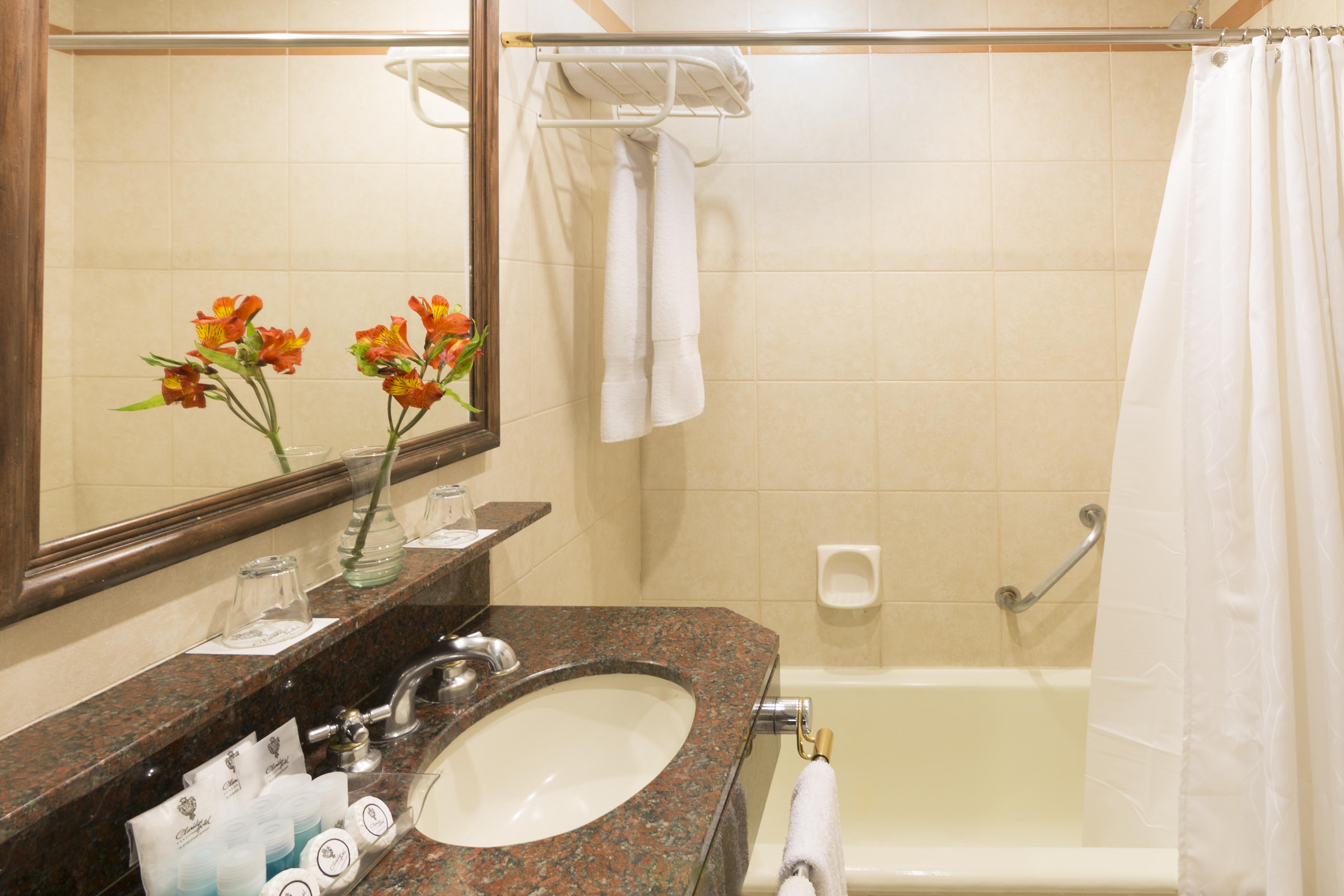 クラリッジ ホテル ブエノスアイレス